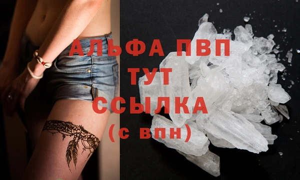 спиды Надым
