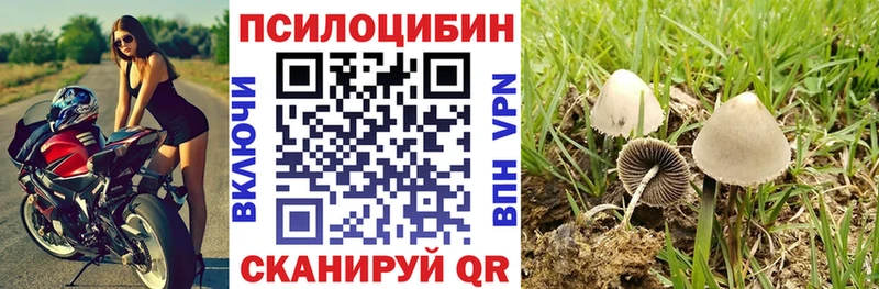 МЕГА онион  что такое наркотик  нарко площадка состав  Галлюциногенные грибы MAGIC MUSHROOMS  Якутск 